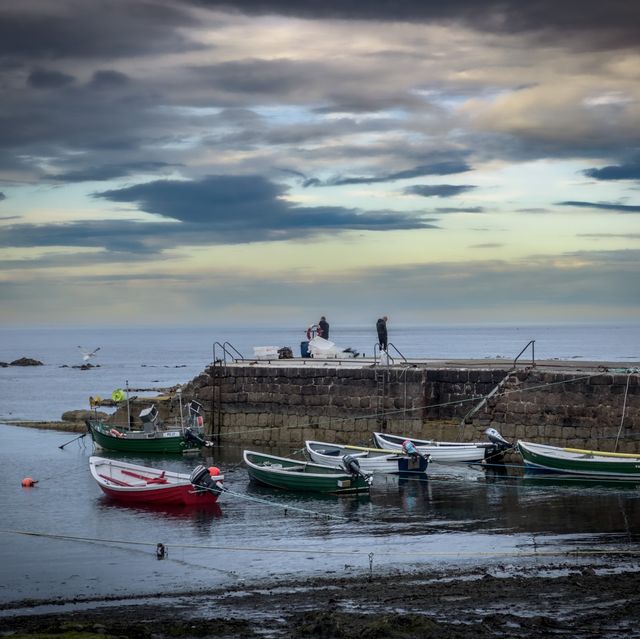 Fresh Scottish Sea Breeze!