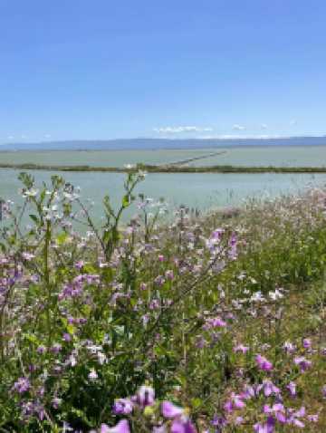 Enjoy the spring scenery, hike in the Wild Wolf Mountain area park in April.