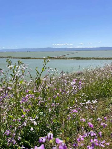 Enjoy the spring scenery, hike in the Wild Wolf Mountain area park in April.