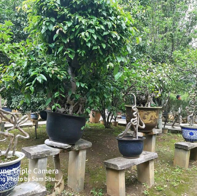養生健身最佳氧吧~保山太保山森林公園