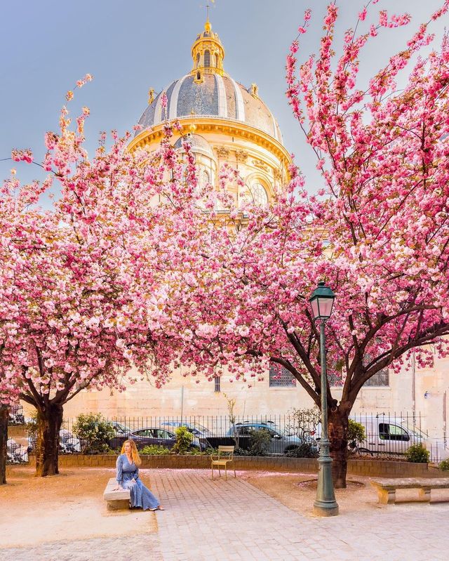 Blossoming Beauty in Paris - A Captivating Weekend!