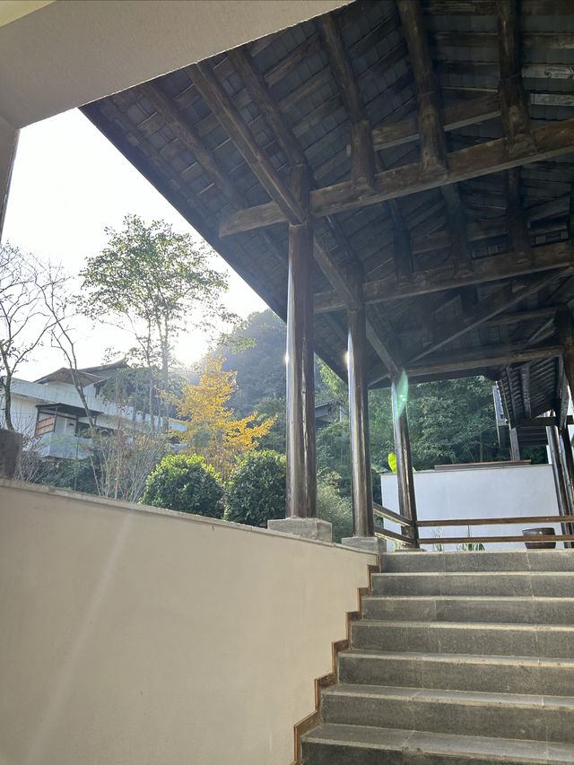 我的生命是一輩子的春和景明
