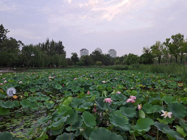 夏天的水上公園，真的是yyds