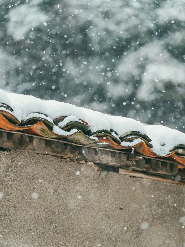 我喜歡下雪天，更喜歡帶我看雪的你