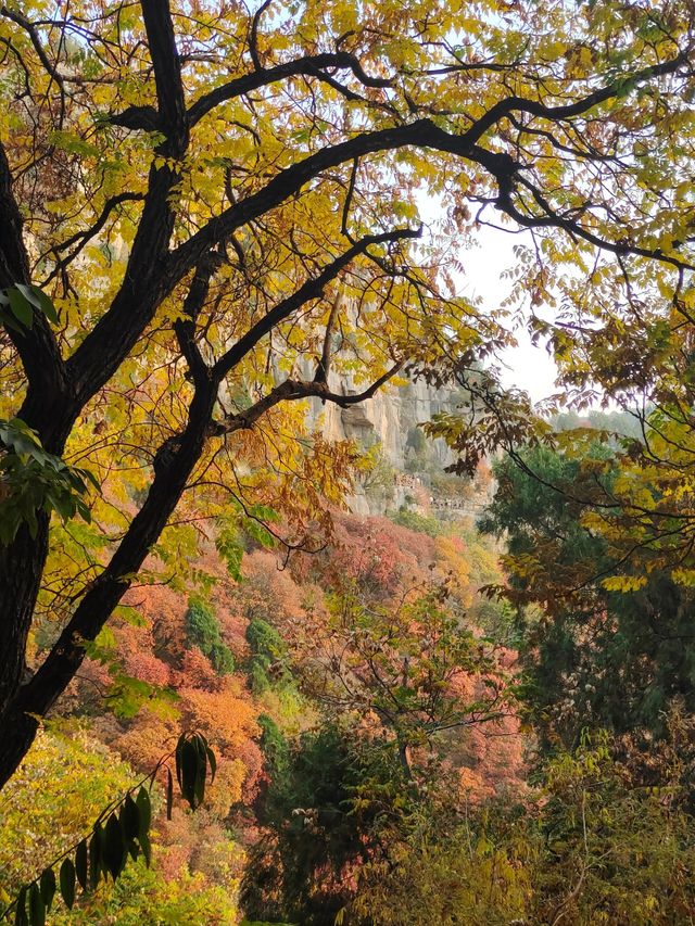 臨朐石門坊：千年古韻，紅葉仙境