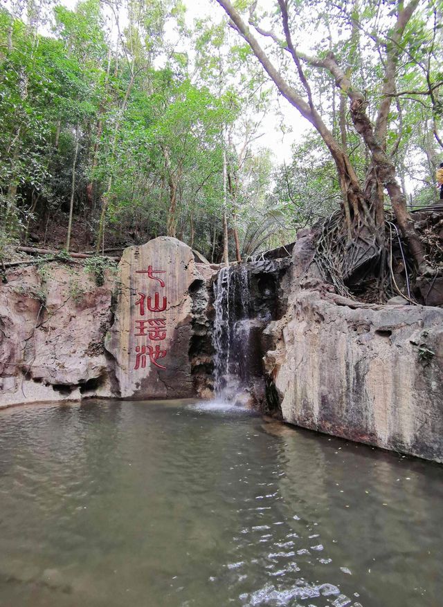 七仙嶺溫泉國家森林公園——悠然泡溫泉，享受森林秘境！