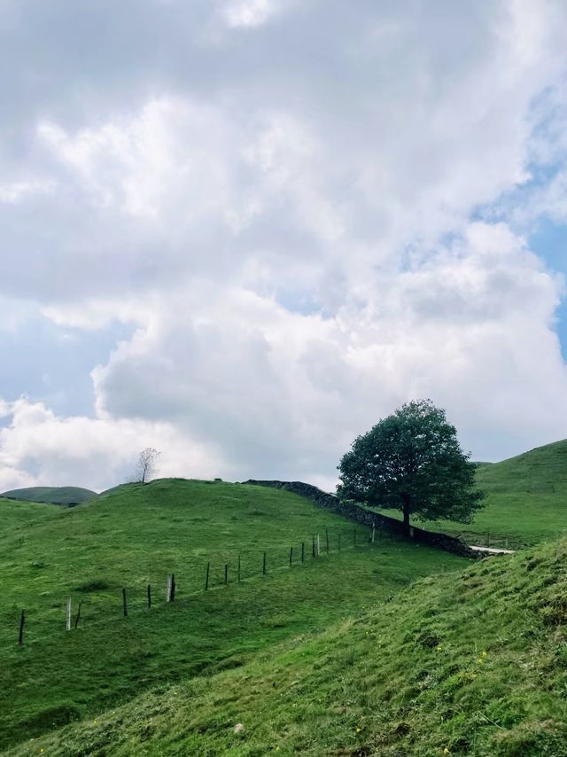 還沒去過邵陽南山牧場都快去!湖南小川西