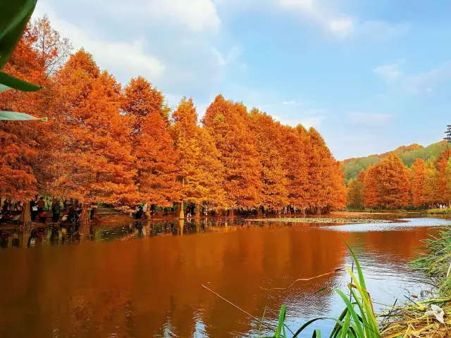 Nanjing Yanzi Lake