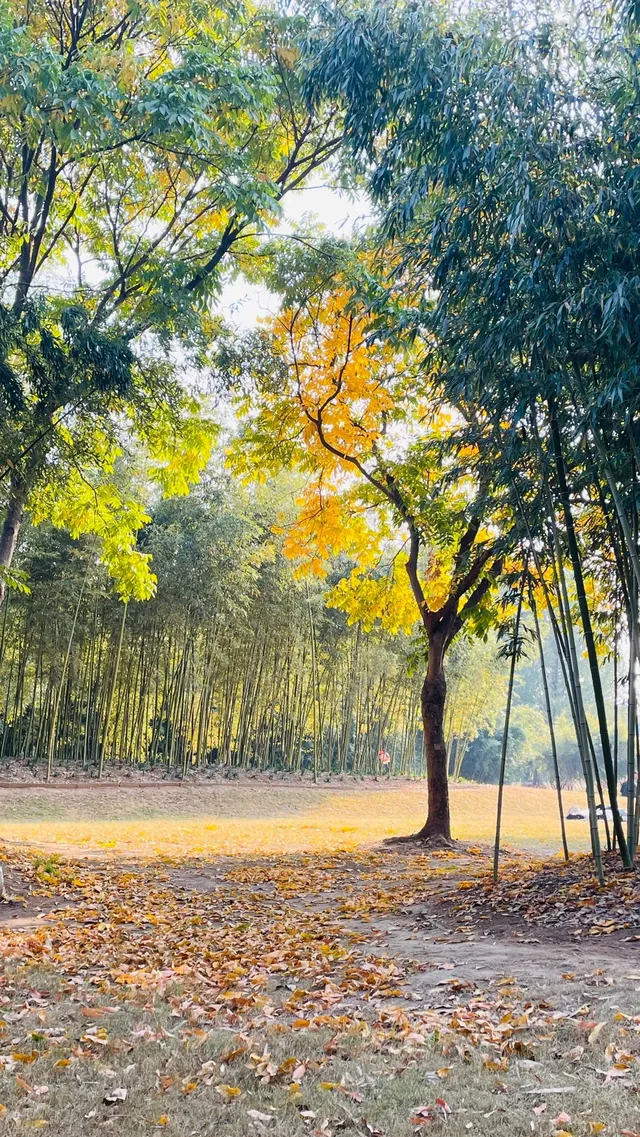 這不是瑞士!這是在上海! 這不是瑞士!這是在上海!