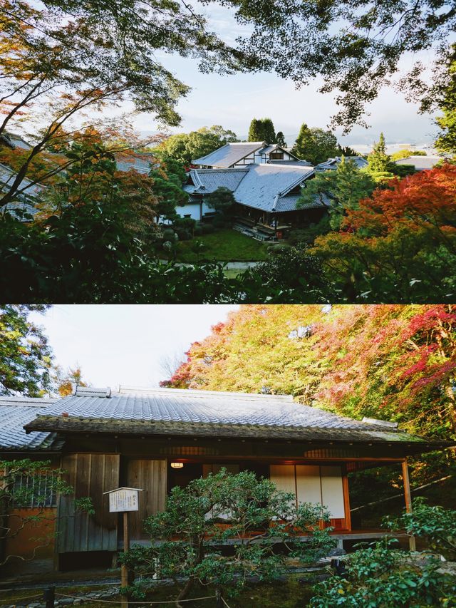 京都青蓮院，好適合一個人呆一整天