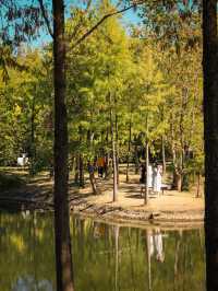 福州閩江公園南園賞秋正當時