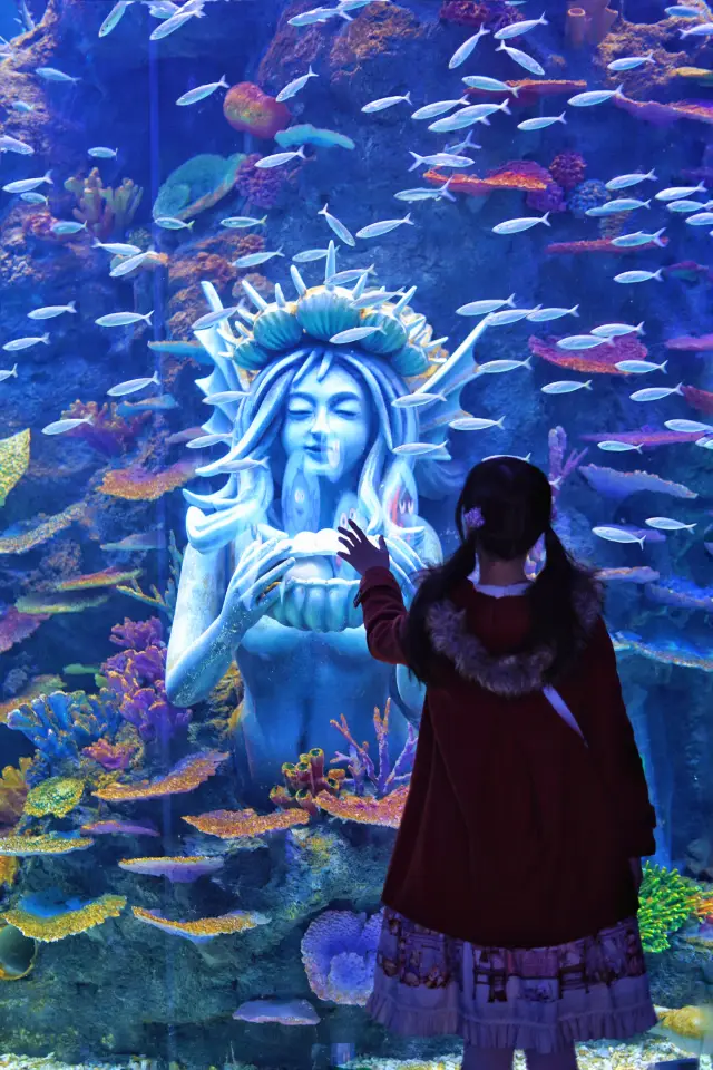 The winter in the fairy tale world is really photogenic~