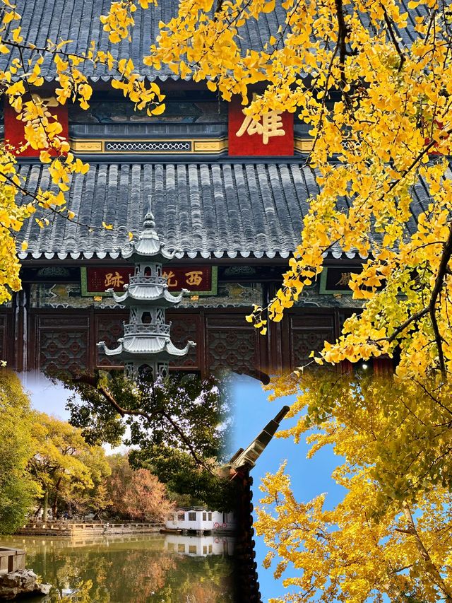 美！靜謐秋意，一柱清流的絕美寺廟｜蘇州西園寺