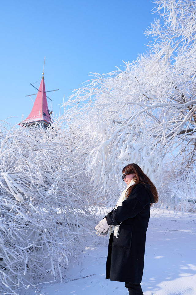 冬天的伏爾加莊園滿足南方人的一切幻想