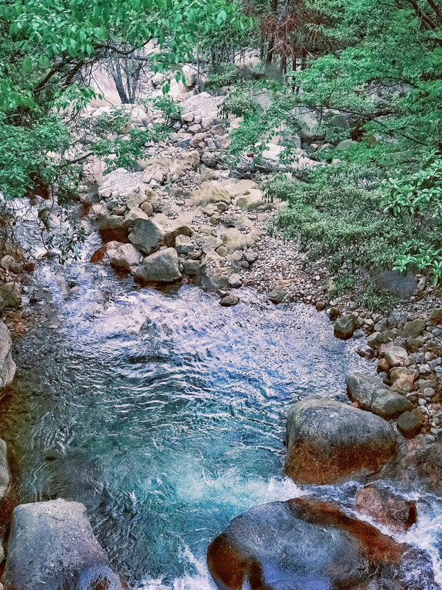 杭州大明山的雲海日出真的浪漫至極