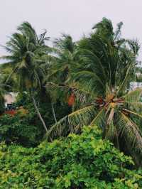 Thulusdhoo Island, Maldives 🇲🇻🏝️