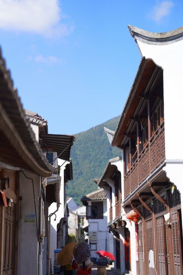 蒼南168黃金海岸線