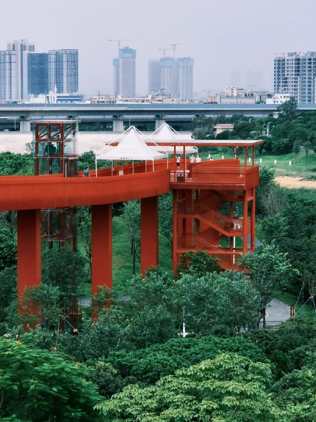 虹橋公園的遊玩攻略