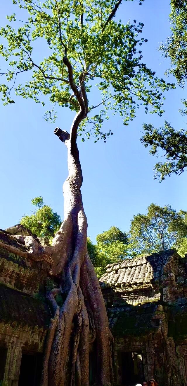 在陰雨濛濛的季節裡懷念高棉的陽光