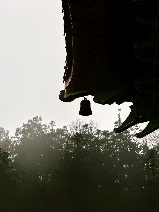 信陽周末去哪玩｜羅山靈山寺攻略來囉