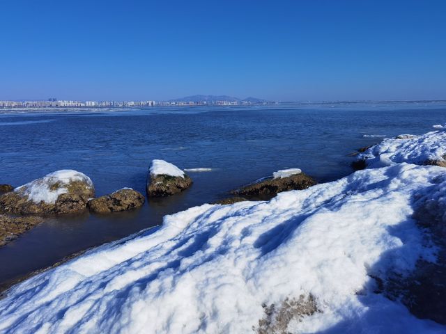 整個海都凍住了！