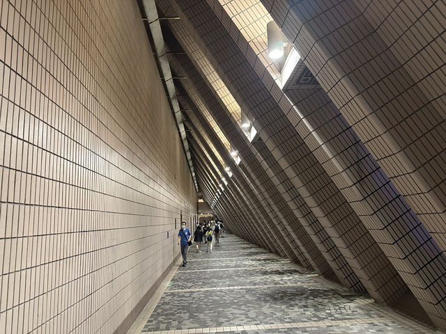 維多利亞港的日與夜