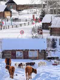 冬日新疆7天6晚：玩轉冰雪世界，盡享旅行樂趣！