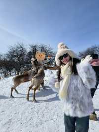 旅行碎片 雪嶺-二道白河 優質版攻略～