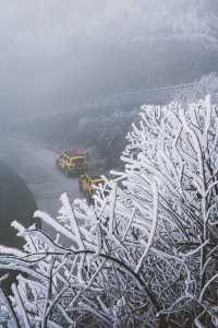 看看陽明山的霧凇