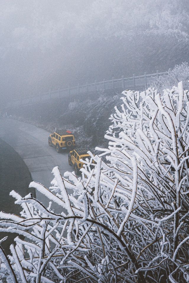 看看陽明山的霧凇