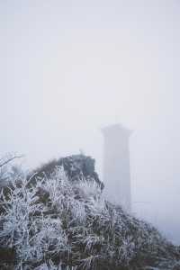 看看陽明山的霧凇