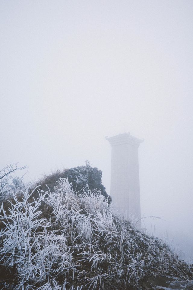 看看陽明山的霧凇