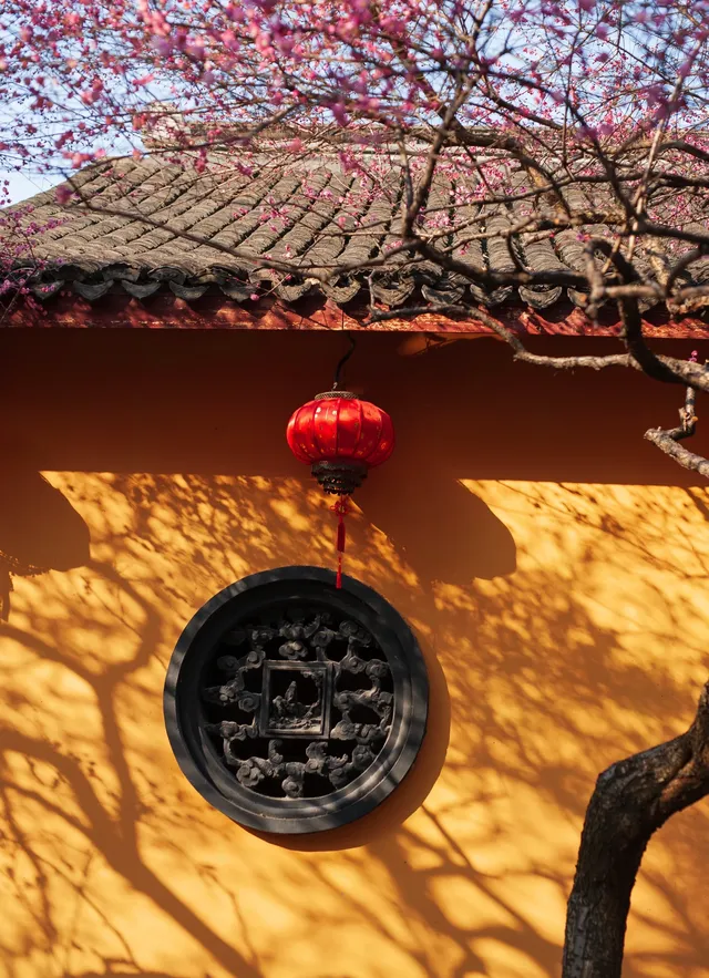 湖州鐵佛寺 | 江南最有靈性的梅花盛開