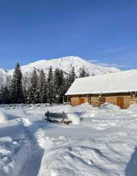 禾木村雪景小木屋