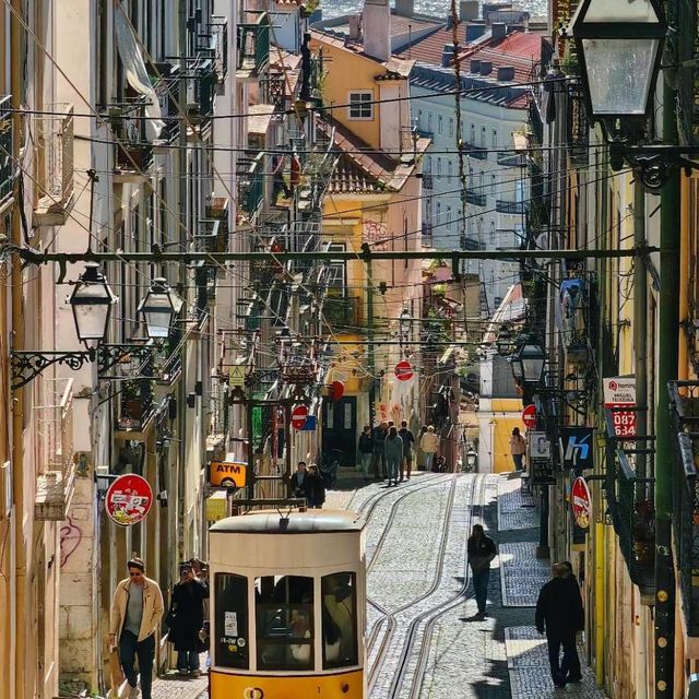 Lost in Lisbon:Exploring Portugal's Capital 🇵🇹