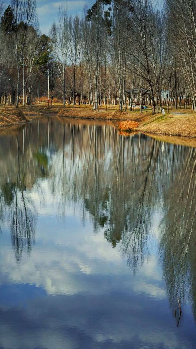 打卡劍湖