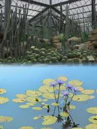 歡迎來到愛麗絲夢遊仙境華南國家植物園