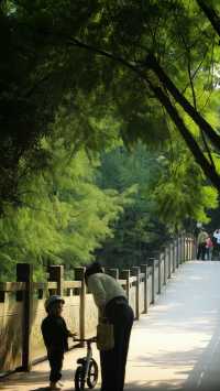 彩雲湖公園 感受綠野仙蹤般的浪漫