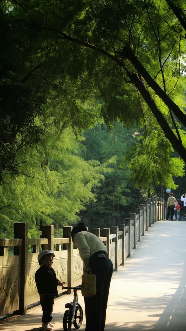彩雲湖公園 感受綠野仙蹤般的浪漫