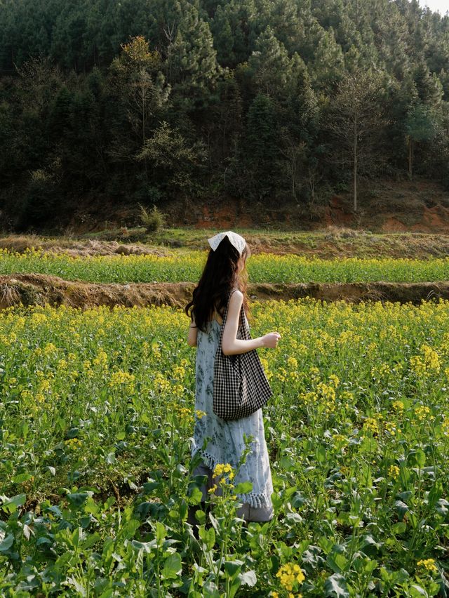 鏡頭下的春和景明丨春天油菜花拍照攻略