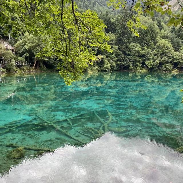 永遠對川西心動