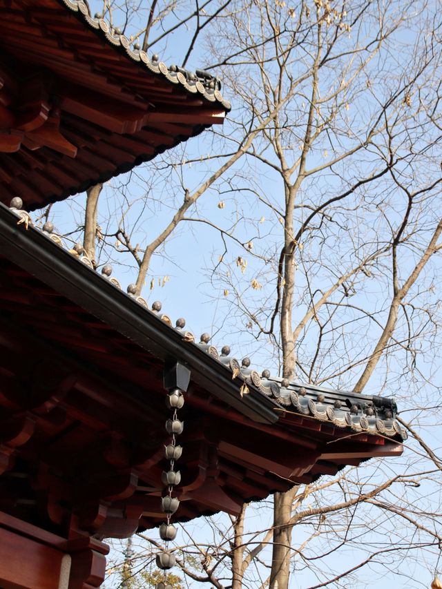 出發新年第一站！杭州徑山禪寺爬山祈願