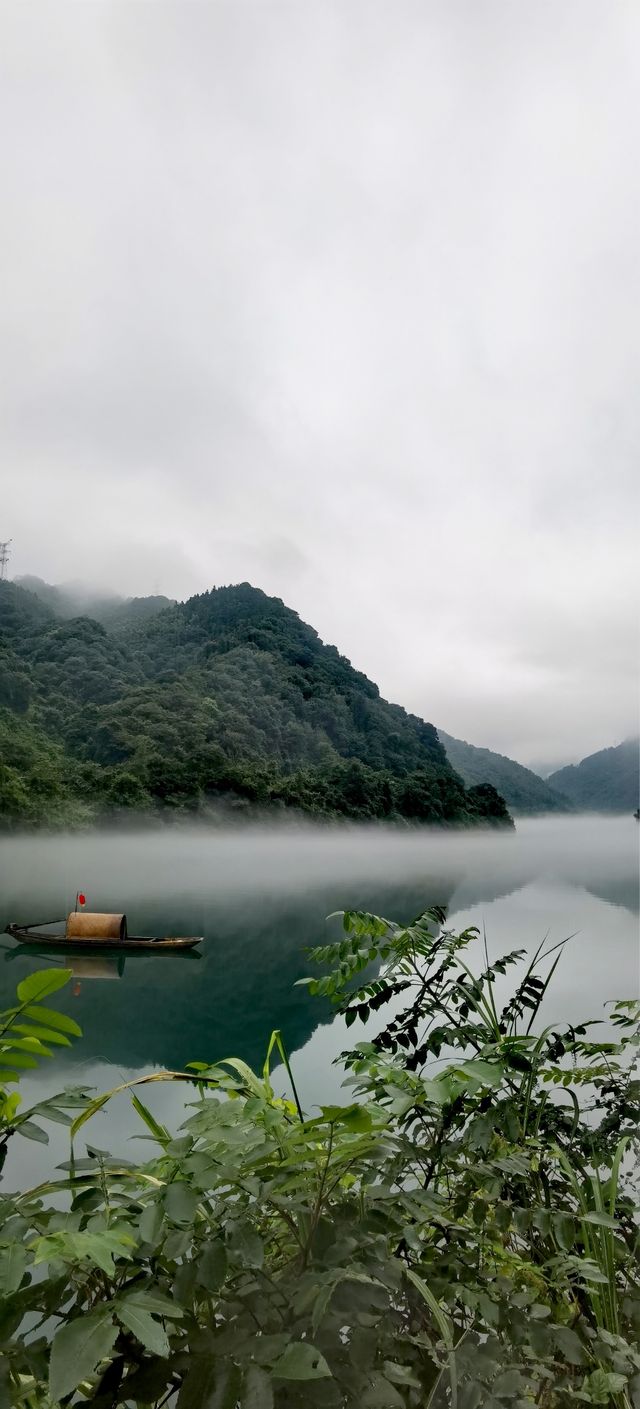 霧漫小東江