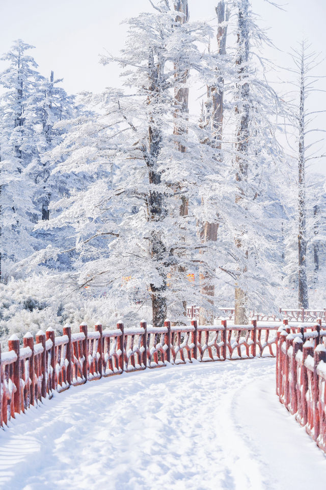 比起哈爾濱，我更喜歡這個小眾的冰雪秘境