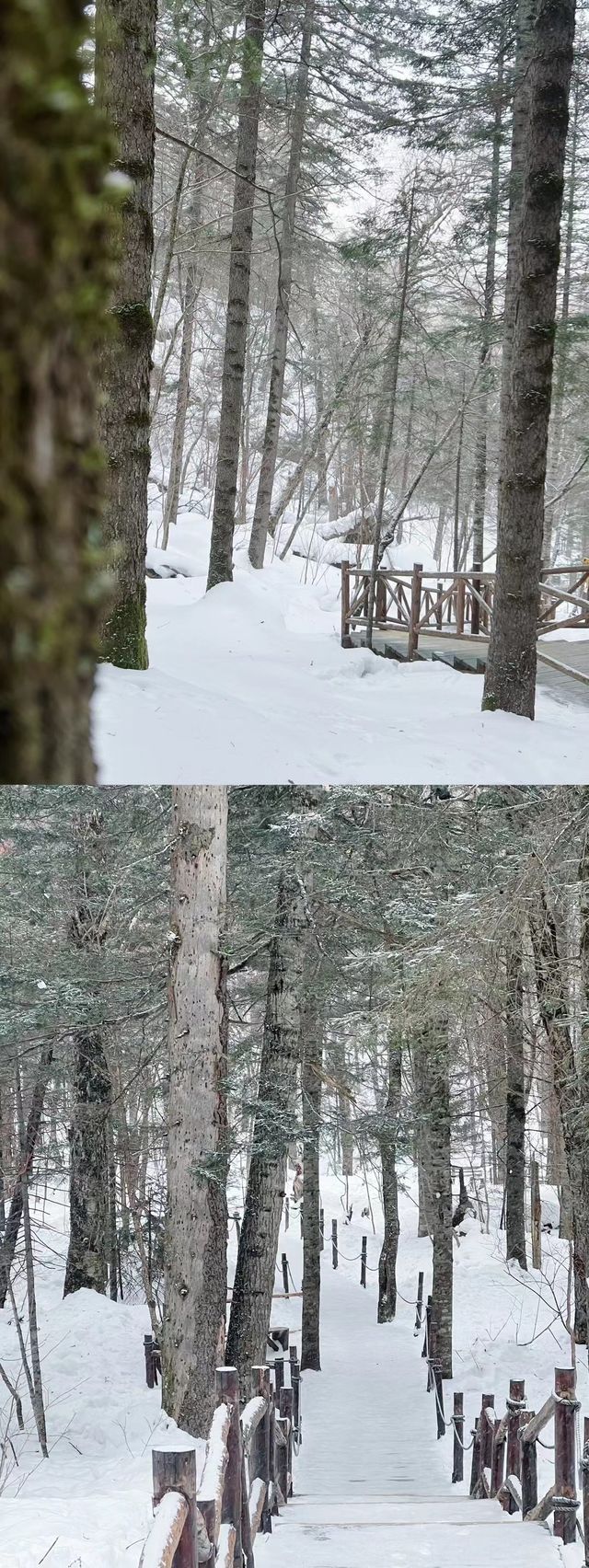 冬日的長白山美景