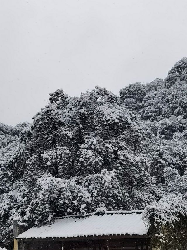 蒼山負雪，明燭天南