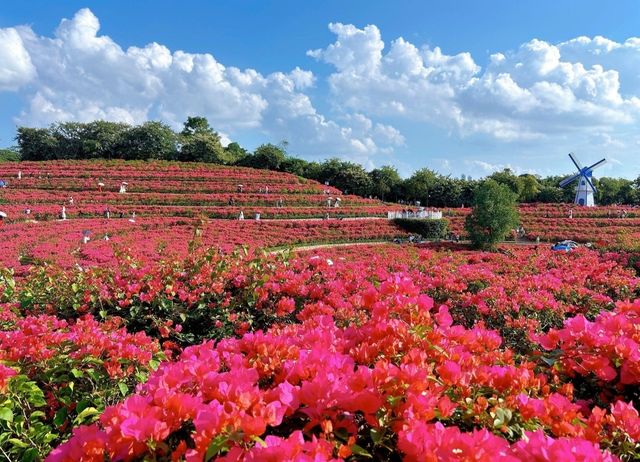 南寧青秀山半日遊