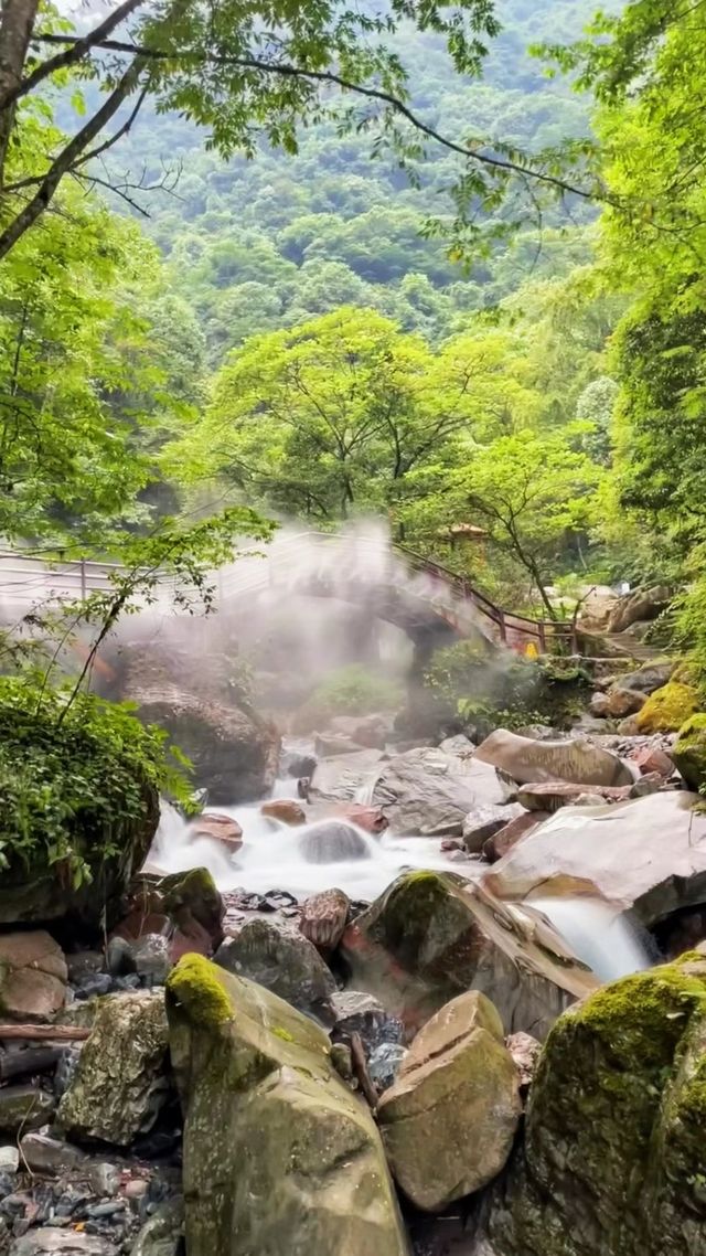 夏日徒步，選擇一條洗肺／涼爽／安全的路線很重要！