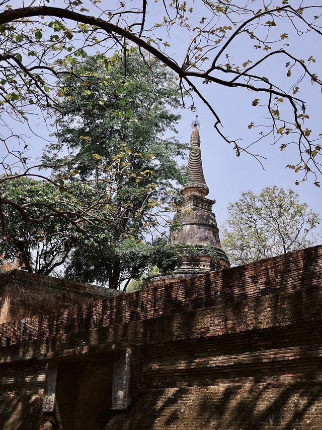 悟孟寺在清邁大小300多座寺廟裡，散發著別樣的氣息