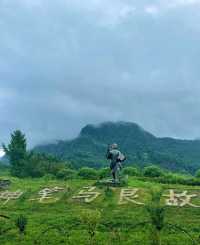 聽說這裡住著神仙？